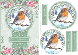 A5 Robin Quick Card