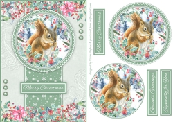 A5 Squirrel Quick Card
