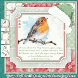 Friendly Robin Mini Kit