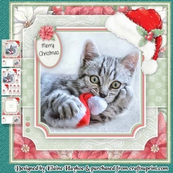 Kitten Christmas Mini Kit