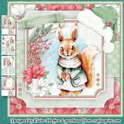 Bushy Tailed Squirrel Mini Kit