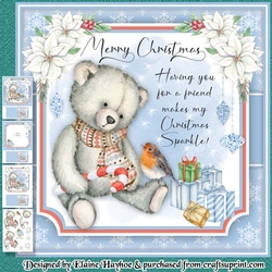 Teddy & Robin Mini Kit