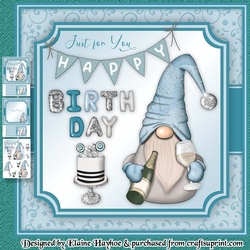 Champagne Gnome Birthday Mini Kit