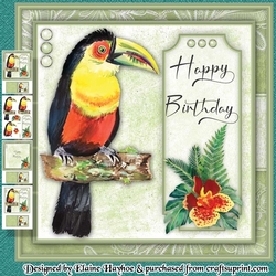 Toucan Birthday Mini Kit