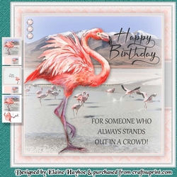 Pretty Flamingo Birthday Mini Kit