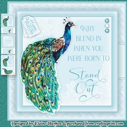 Peacock Birthday Mini Kit