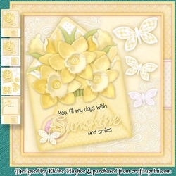 Sunshine and Smiles Mini Kit