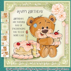 Eat More Cake Mini Kit