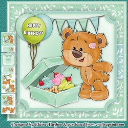 Cute Teddy with Cakes Mini Kit