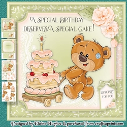 Special Birthday Cake Mini Kit
