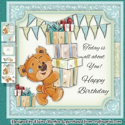 Cute Teddy with Parcels Mini Kit