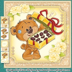Cute Teddy with Chocolates Mini Kit