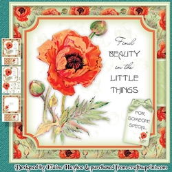 Poppy Mini Kit