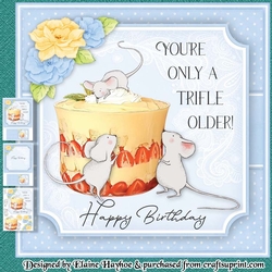 cup1104925_72307 - Trifle Older Mini Kit