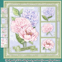 Pretty Flowers and Lace Mini Kit