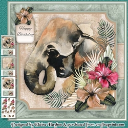 Safari Elephant Mini Kit