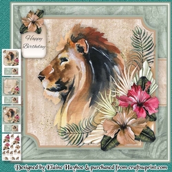 Safari Lion Mini Kit