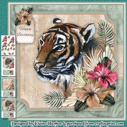 Safari Tiger Mini Kit