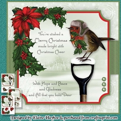 Holly Robin Mini Kit