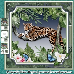 Rainforest Jaguar Mini Kit