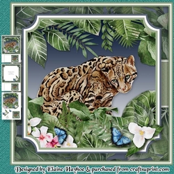 Rainforest Ocelot Mini Kit