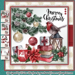 Merry Robin Mini Kit