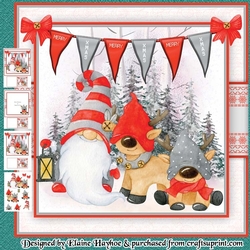 Gnome Reindeer Mini Kit