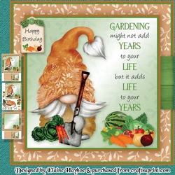 Male Gardening Gnome Mini Kit