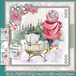 Teddy Bear Sleigh Ride Mini Kit