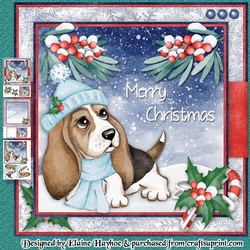 Puppy 2 Winter Walk Mini Kit