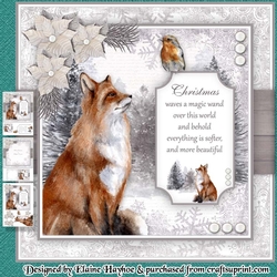 Woodland Wildlife Mini Kit