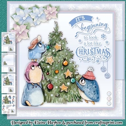 Penguin Preparations Mini Kit