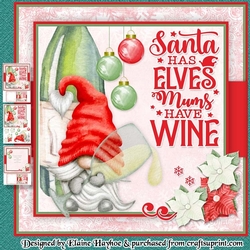 Mums Have Wine Mini KIt