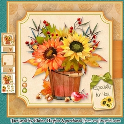 Sunflower Bucket Mini Kit