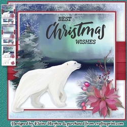 Polar Bear Mini Kit