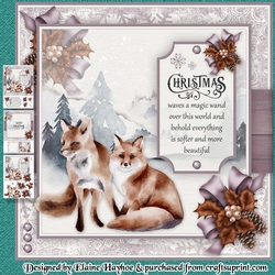Pair of Foxes Mini Kit
