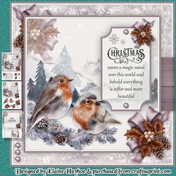 Pair of Robins Mini Kit