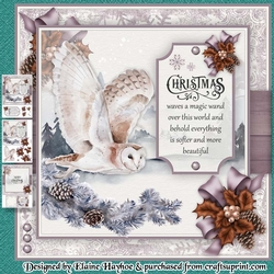 Snowy Owl Mini Kit