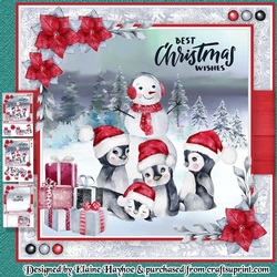 Baby Penguins Mini Kit