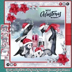 Penguin Family Mini Kit