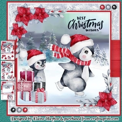 Skating Penguin Mini Kit