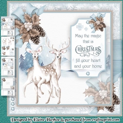 White Deer Mini Kit