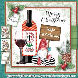 Holiday Survival Kit Mini Kit