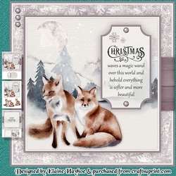 Foxes (Plain Request)