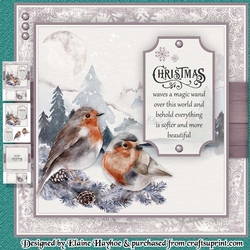 Robins (Plain Request)