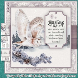 Snowy Owl (Plain Request)