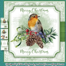 Merry Robin Mini Kit