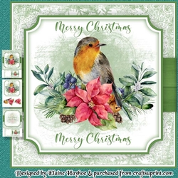 Poinsettia Robin Mini Kit