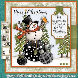 Beer Snowman Mini Kit