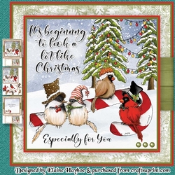 Chickadees Mini Kit